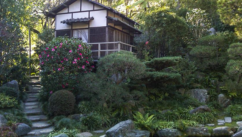 Hannah Carter Japanese Garden