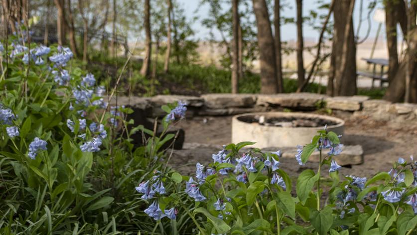 IL_Evanston_HarleyClarkeGardens_BonnieJames_2018_06.jpg Harley Clarke House and Garden, Evanston, IL