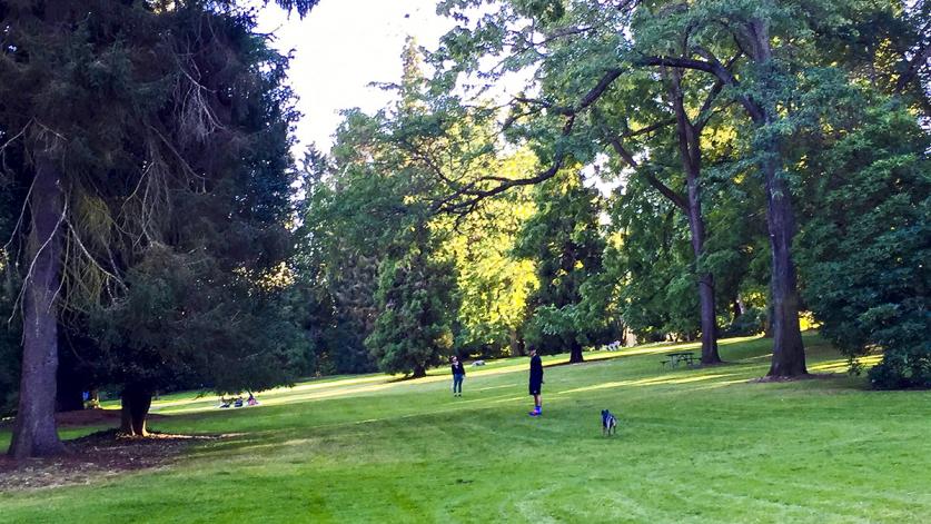 IMG_3745-crop.jpg Proposed area of museum expansion in Volunteer Park, Seattle, WA