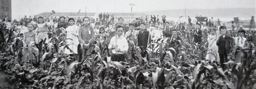 IMG_5581-banner.jpg The Children’s Farm Gardens at DeWitt Clinton Park. Photograph from The New York City Department of Parks, Report for the year 1902.