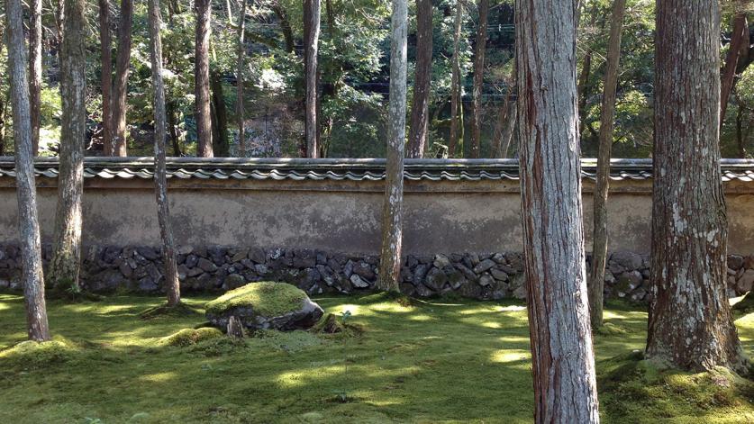 Moss Garden, Kyoto, Japan