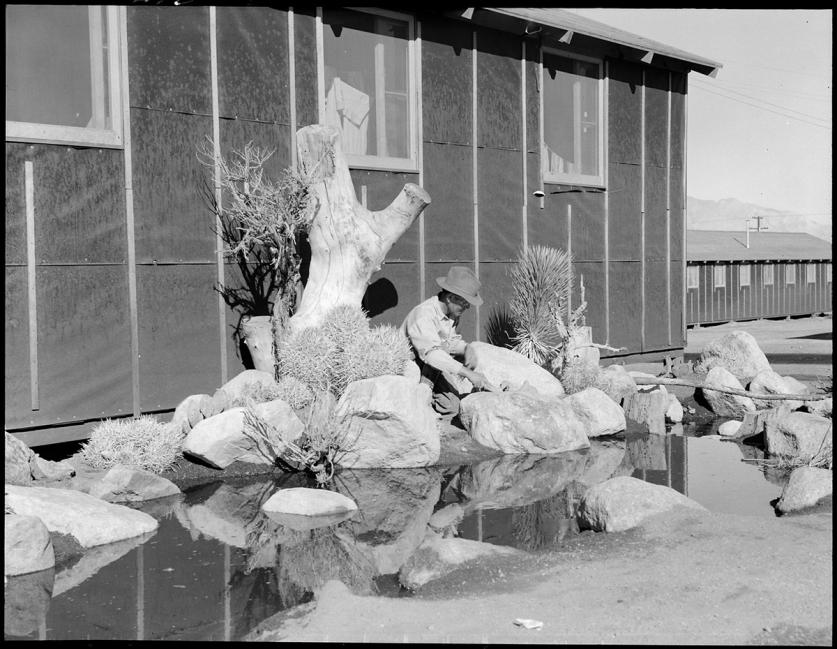 JapaneseInternmentCamp_desertGarden_DorotheaLange_feature.jpg Desert Garden, Manzanar Relocation Center