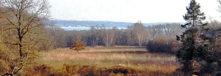 The long open meadow, connecting the house to the Sound, is narrowing and filling with the introduction of invasive trees.