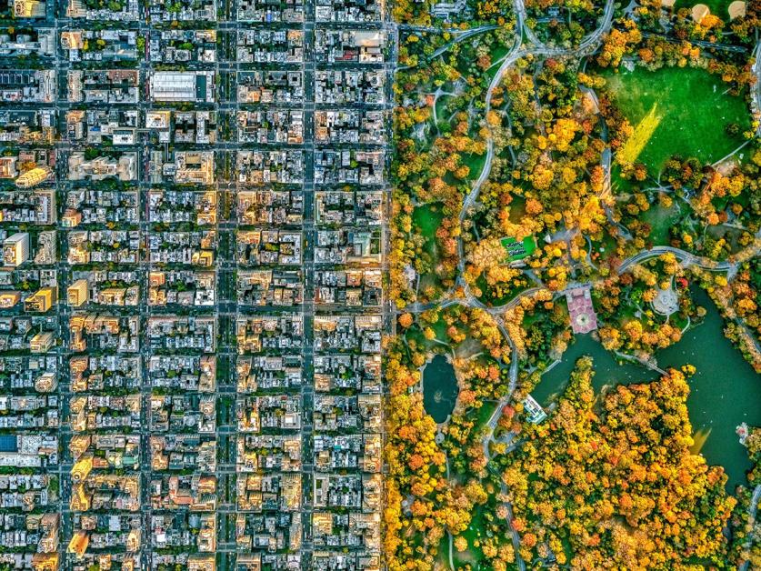 Jeffrey Milstein_image for feature.jpg Item #165, Central Park and East Side Archival Inkjet Print, signed card attached, 2022