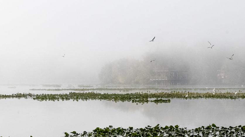 John Heinz National Wildlife Refuge at Tinicum, Philadelphia, PA