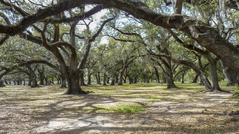 City Park, New Orleans, LA