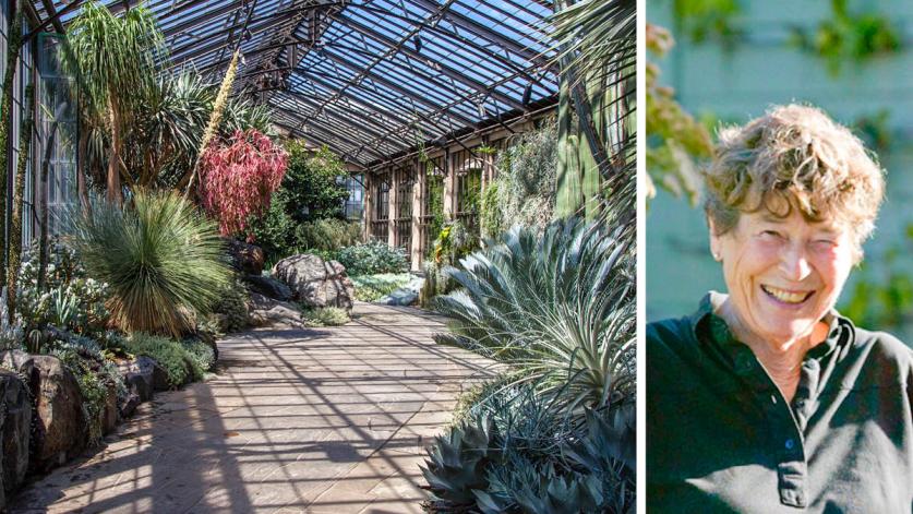 Isabelle Greene, Silver Garden, Longwood Gardens, Kennett Square, PA