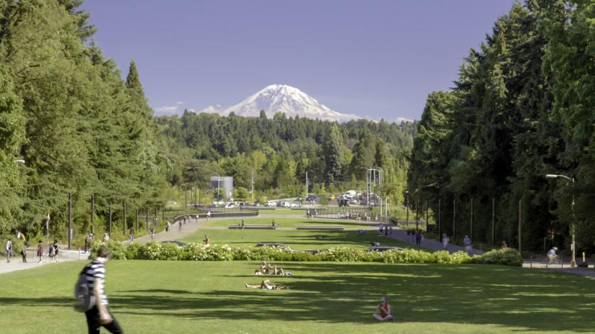 Lower Rainier Vista