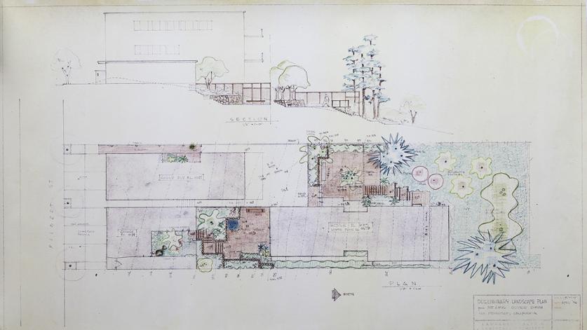 Preliminary plan for the Lyman Garden, 1956