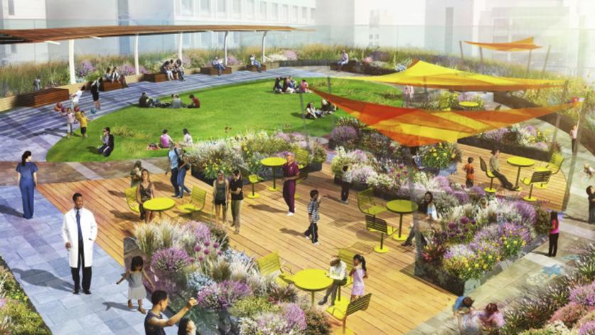 Rendering of Boston Children's Hospital Rooftop Garden