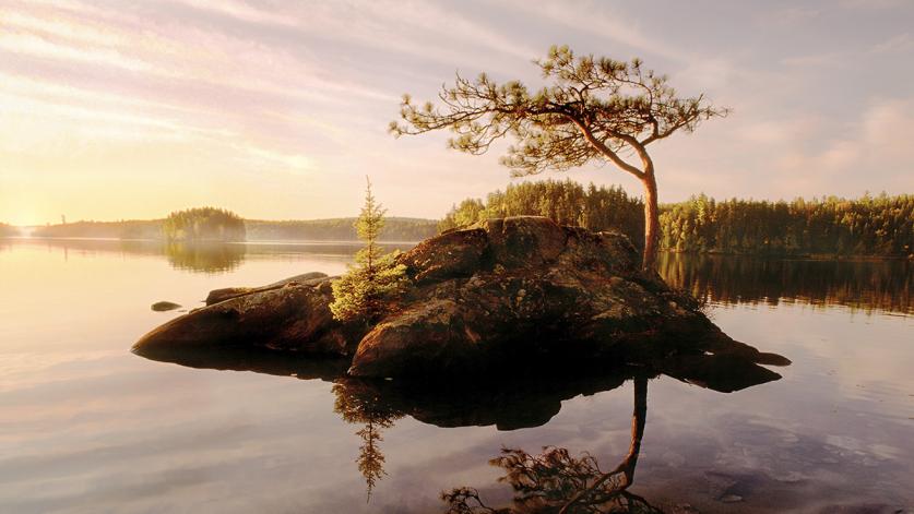 Ojibway Lake Island, Boundary Waters Canoe Area Wilderness, MN