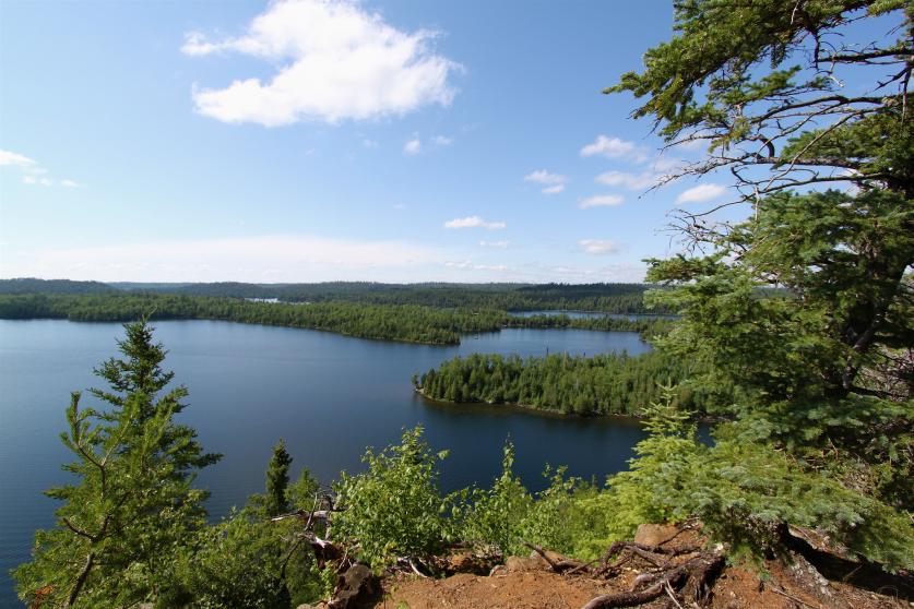 Minnesota's North Woods