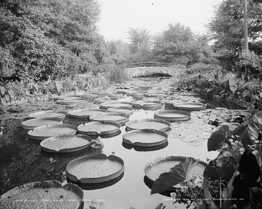 Como Park, 1905