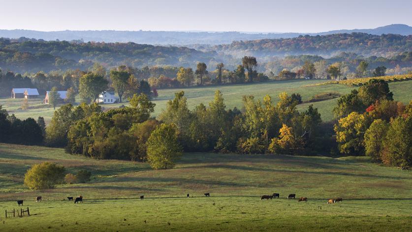 Augusta American Viticultural Area, Augusta, MO