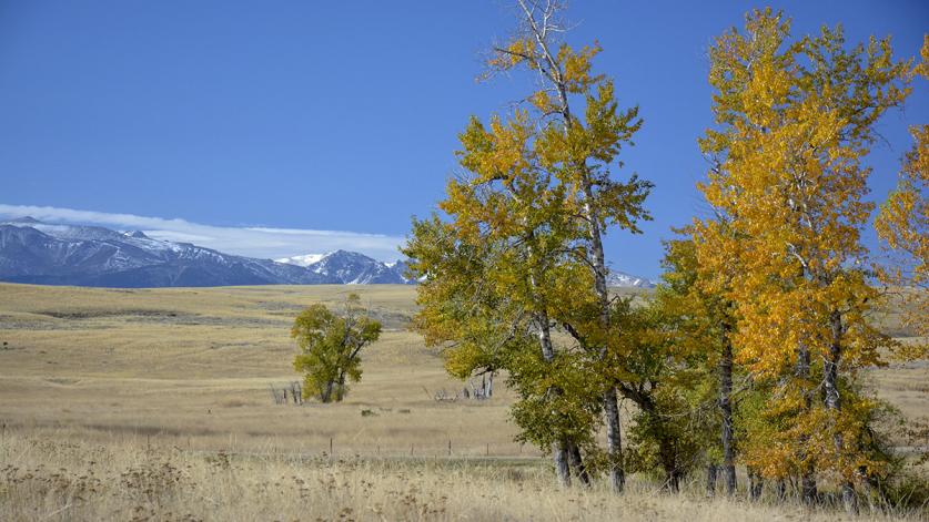 OvS Landscape Architecture's Tippet Rise Arts Center won a 2018 ASLA award. 