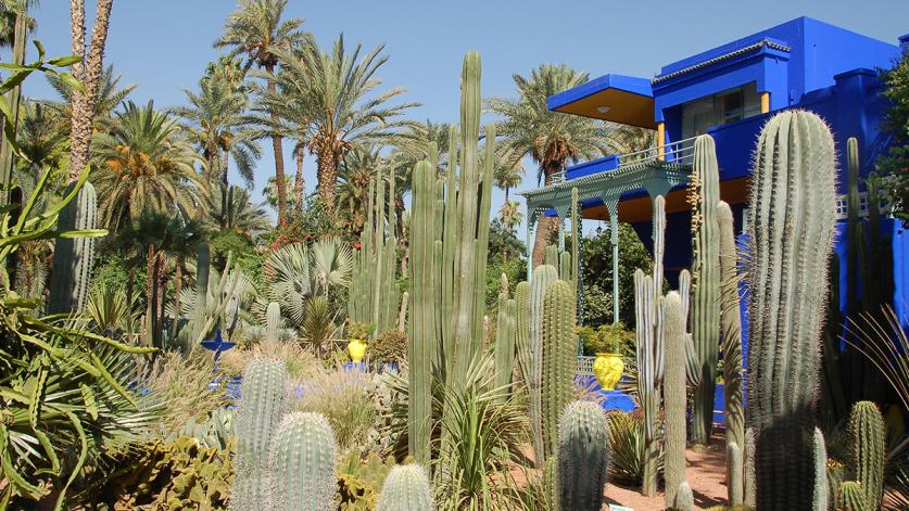 Jardin Majorelle, Marrakech, Morocco