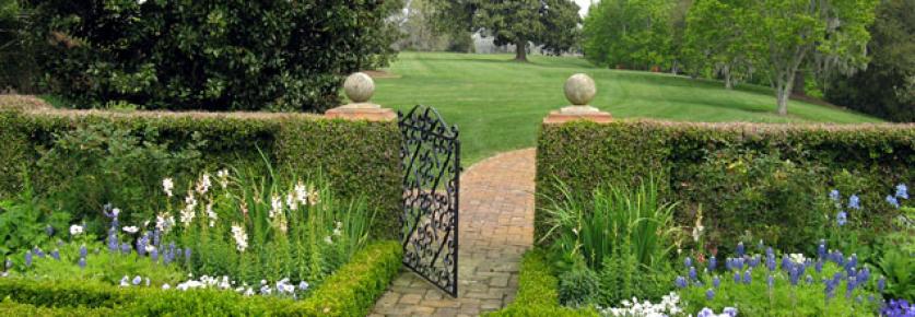 Mulberry-Banner.jpg Mulberry Plantation, 2008