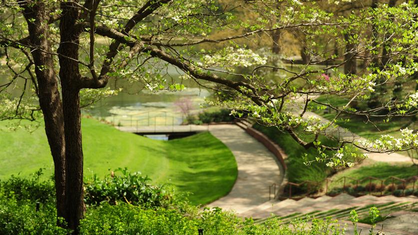 NC_Raleigh_McIverAmphitheater_courtesyMeredithCollege_005_sig.jpg McIver Amphitheater, Raleigh, NC