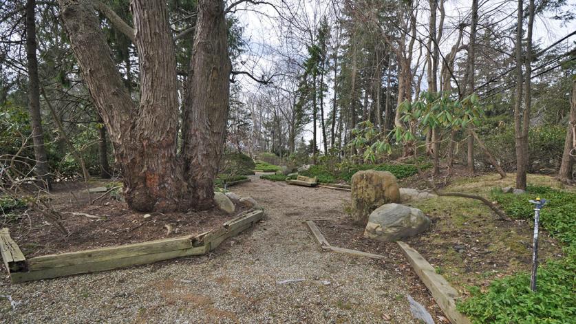 Rotting timber walls and bench beside the path. 2014.