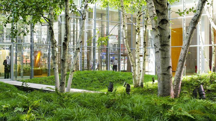 New York Times Building Atrium, New York, NY, designed by Cornelia Hahn Oberlander in collaboration with HM White Architects