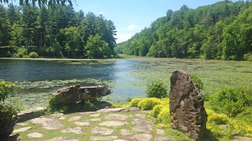 Innisfree Garden, Millbrook, NY