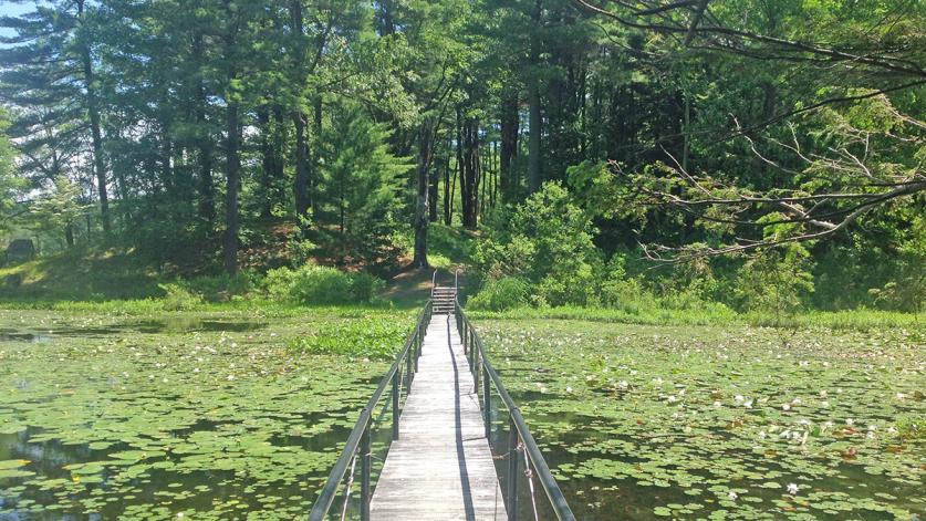 NY_Millbrook_InnisfreeGarden_285_CharlesABirnbaum_2015_sig.jpg Innisfree Garden, Millbrook, NY