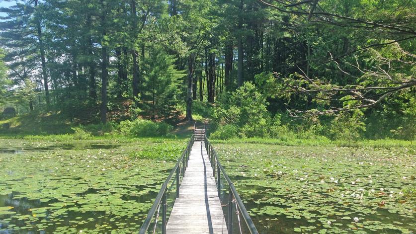 Innisfree Garden, Millbrook, NY