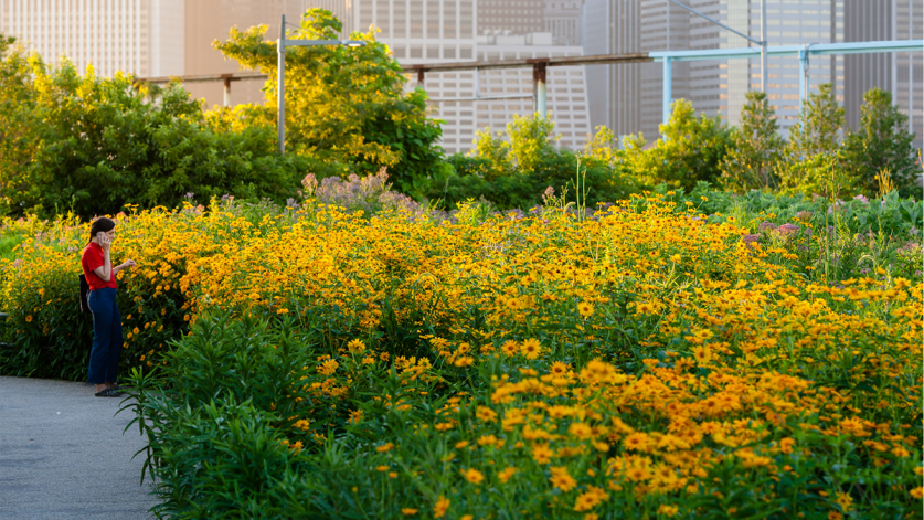 Brooklyn Bridge Park Pier 6, Brooklyn, NY