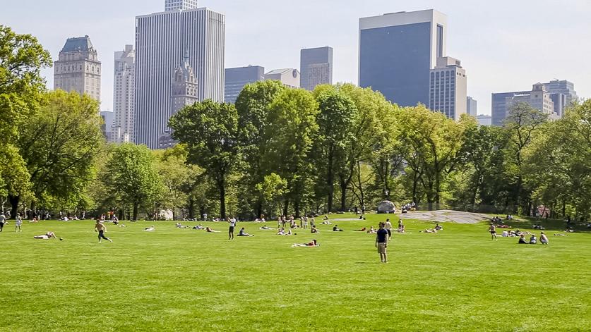 Central Park, New York City, NY