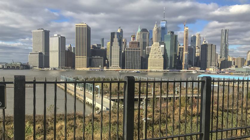 NY_NewYorkCity_BrooklynPromenade_FencedSkyline_byKatherineDavis_2018_008_sig_004.jpg Brooklyn Heights Promenade, Brooklyn, NY