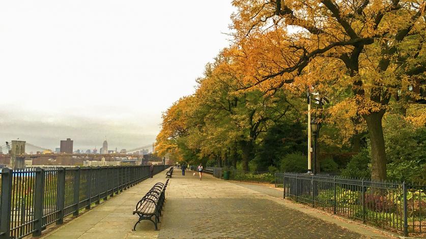 Brooklyn Heights Promenade, Brooklyn, NY