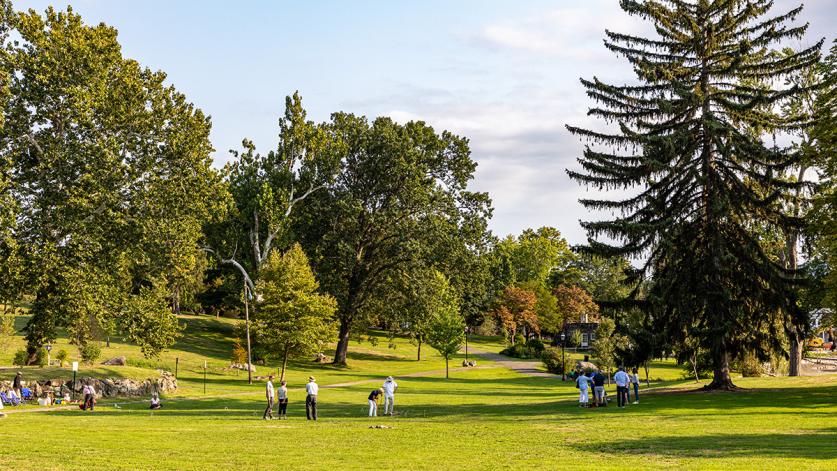 NY_Newburgh_AndrewJacksonDowningPark_byBarrettDoherty_2022_001_sig.jpg Andrew Jackson Downing Park, Newburgh, NY