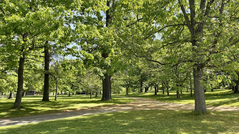 Genesee Valley Park, Rochester, NY