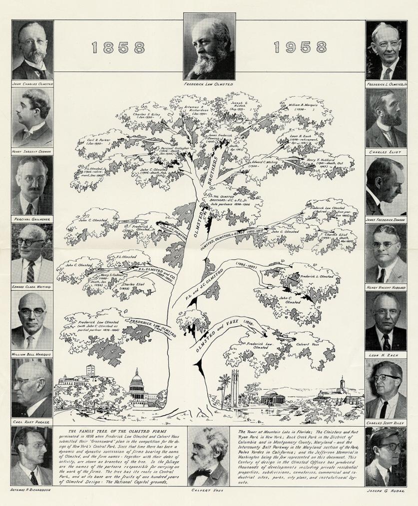 Olmsted Family Tree, 1858-1958