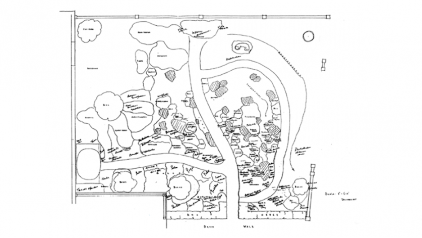 A 1957 Sketchplan of the Asian Garden within the Entrance Garden by Beatrix Farrand 