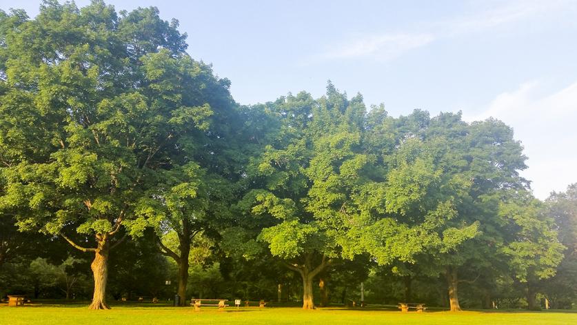 Rahway River Park, Union County, NJ