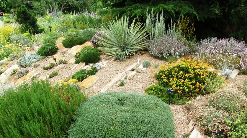 Rock and Alpine Garden, Denver Botanical Gardens