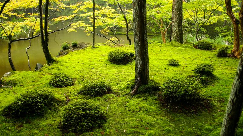 Saihouji-kokedera_feature.jpg Kokedera (Moss Temple), Kyoto, JP