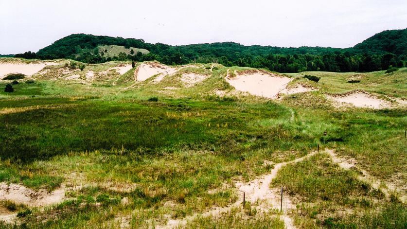 Saugatuck Harbor Natural Area, Saugatuck, MI