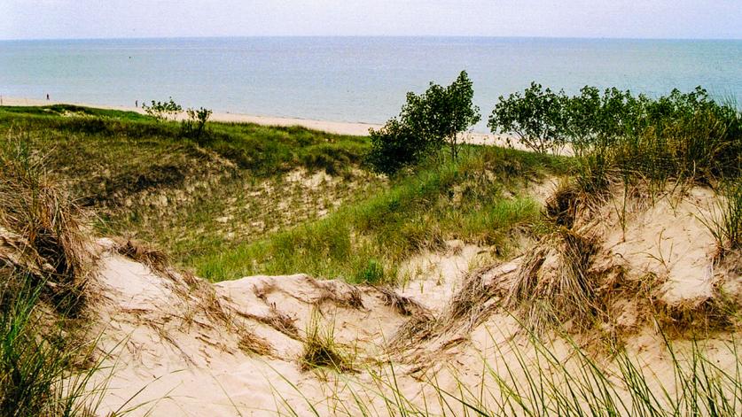 Saugatuck Dunes State Park, Saugatuck, MI