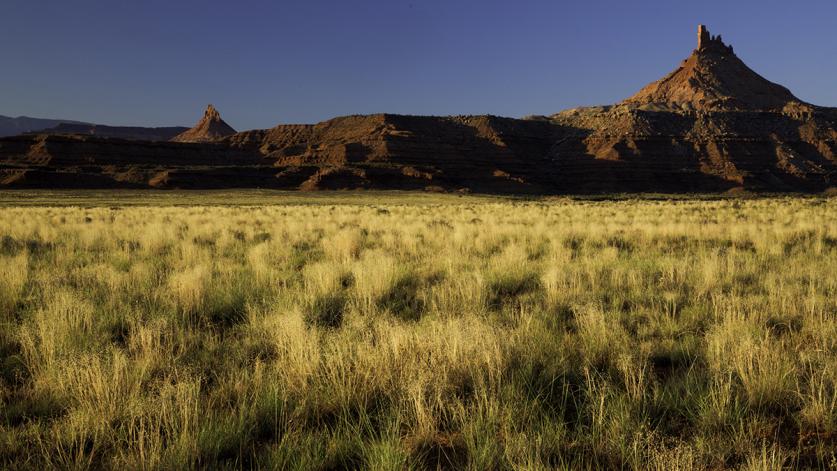 Indian Creek at Bears Ears National Monument, UT.