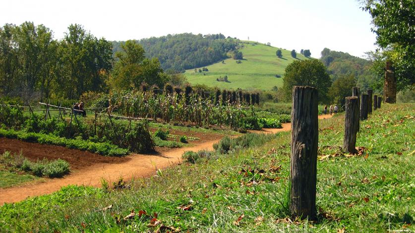 VA_Charlottesville_Monticello_MulberryRow_ViaTsuji_2012_1_sig.jpg Monticello's Mulberry Row landscape reconstructed to resemble an ornamental farm in Charlottesville,VA