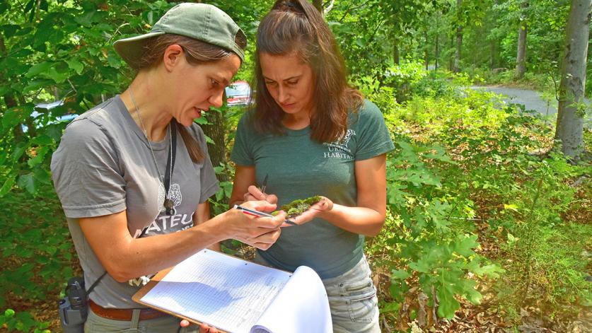 Dr. Mary Jane Epps and Rachel Floyd of the Center for Urban Habitat survey plants at the Quarry Gardens