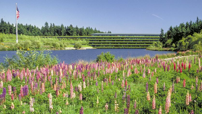 Weyerhaeuser International Headquarters, Federal Way, WA