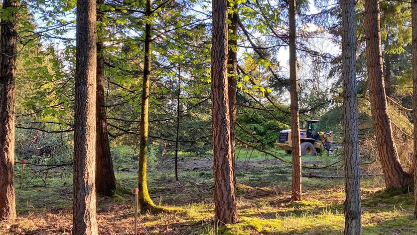 Weyerhaeuser International Headquarters, Federal Way, WA