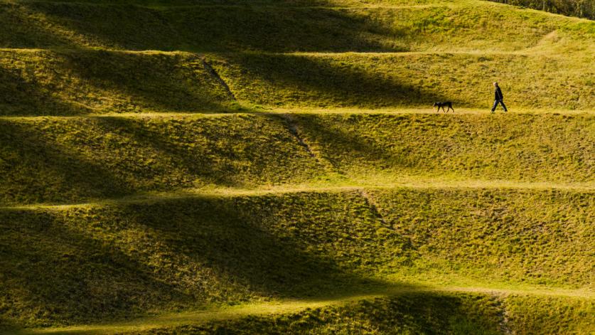WA_SeaTac_UntitledEarthwork-JohnsonPit30_byRobertMorris_2020_007_sig.jpg Robert Morris (1931-2018). Untitled Earthwork (Johnson Pit #30), 1979. SeaTac, WA. King County Public Art Collection/4Culture.