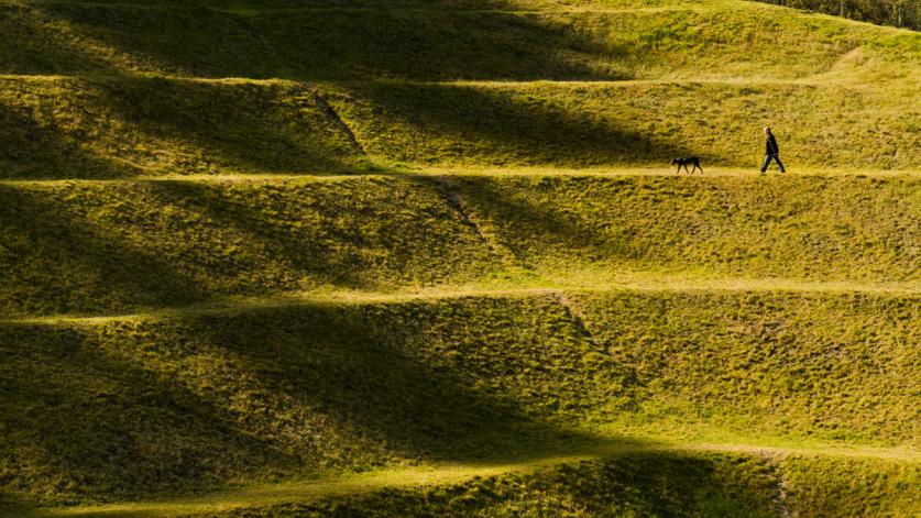 Robert Morris (1931-2018). Untitled Earthwork (Johnson Pit #30), 1979. SeaTac, WA. King County Public Art Collection/4Culture. 