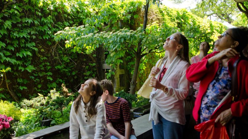 WOTW_Toronto_feature_01_MatthewTraucht_2015.jpg University of Toronto Tour