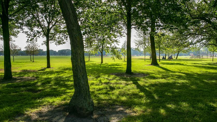 Washington Park, Chicago, IL