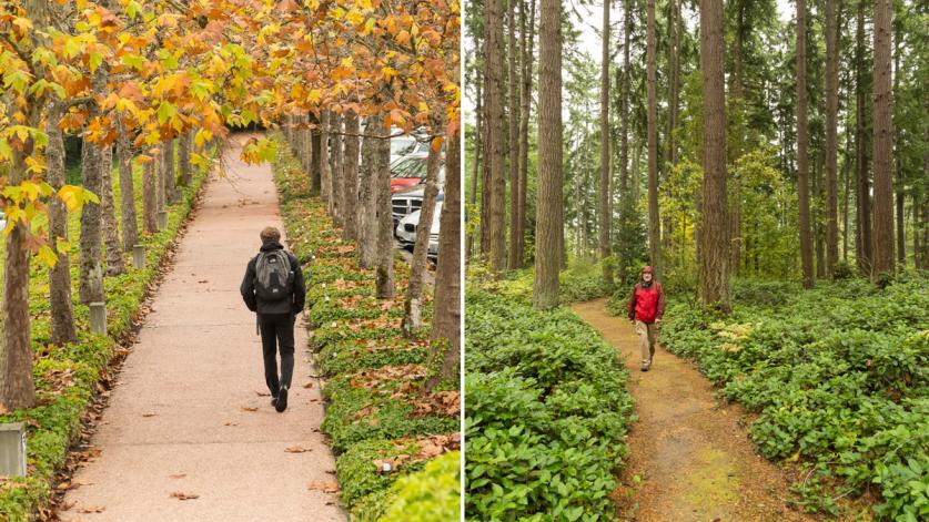 Pathways at Weyerhaeuser International Headquarters, Federal Way, WA